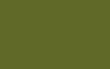swatch image for olive